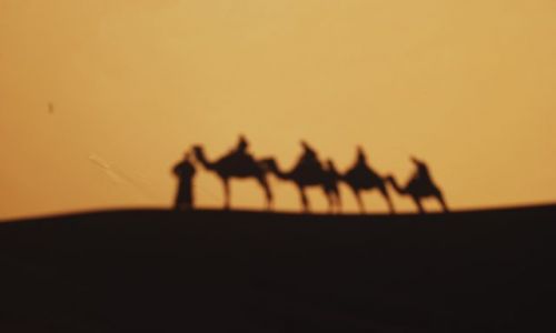 Zdjecie MAROKO / brak / Sahara / Nasza karawana