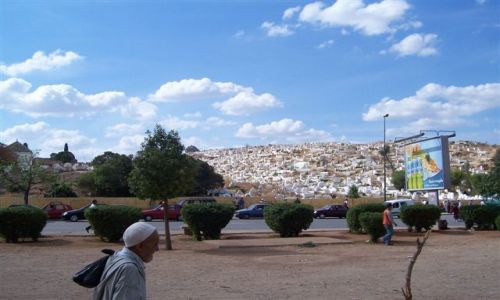 Zdjecie MAROKO / brak / FEZ / cmentarz
