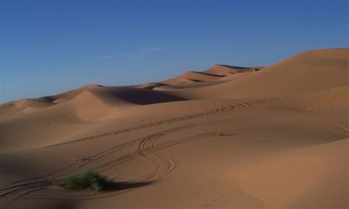 Zdjecie MAROKO / Merzouga / Erg Chebbi / wydmy