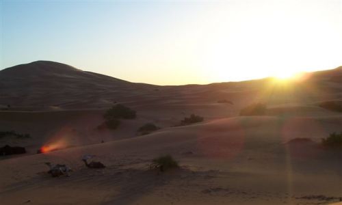 Zdjecie MAROKO / brak / Merzouga / wschód słońca na pustyni