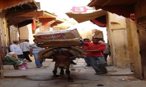 Zdjecie MAROKO / Fez / Fez / Medina Fez