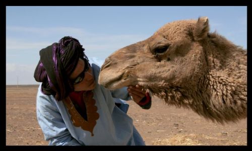 Zdjecie MAROKO / sahara / sahara / maroko
