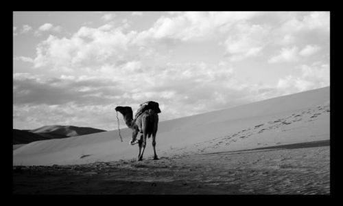Zdjecie MAROKO / sahara / sahara / Samotnosc dlugo dystansowca