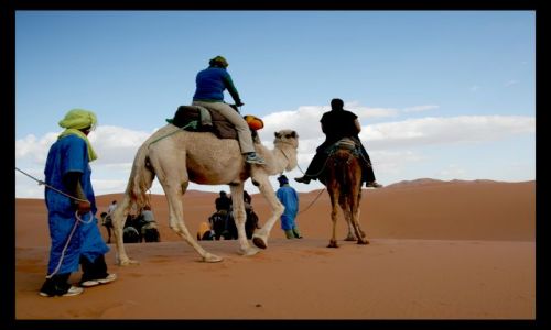 Zdjecie MAROKO / sahara / sahara / w glab pustyni....