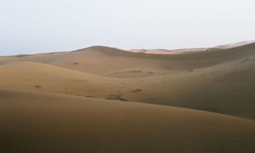 Zdjęcie MAROKO / Mhamid / desert / wydmy