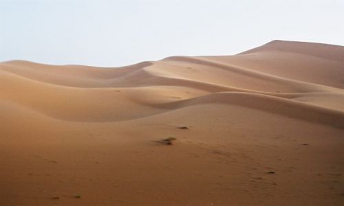 Zdjęcie MAROKO / Mhamid / desert / wydmy