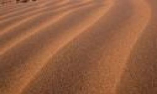 Zdjęcie MAROKO / Mhamid / desert / fesh fesh