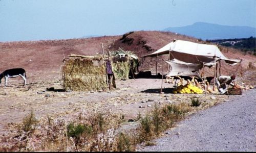 Zdjęcie MAROKO / centrum / droga FEZ/Meknes / przydrożny sprzedawca