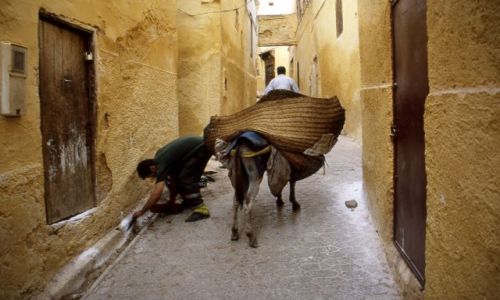 MAROKO / brak / Fez / poranne sprztanie ulic