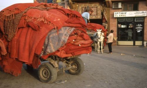 MAROKO / brak / Marrakech / scenka z placu Jemma el Fna