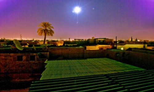 Zdjecie MAROKO / k. Dżemaa el-Fna / medyna / Zielone dachy Marrakeszu