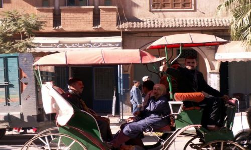 Zdjęcie MAROKO / wybrzeże Atlantyku / Tamri / dorożka