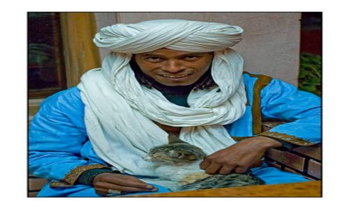 Zdjęcie MAROKO / Warzzazet / brak / Tuareg i kot