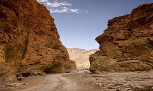 Zdjęcie MAROKO / brak / Todra Gorge /