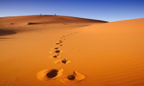 Zdjecie MAROKO / brak / Merzoga / Erg Chebbi