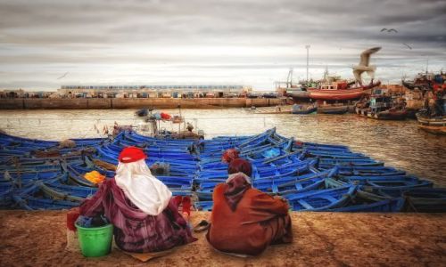Zdjecie MAROKO / brak / Essaouira / w oczekiwaniu na rybaków