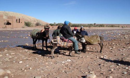 Zdjęcie MAROKO / Warzazate / Ait Benhaddou / Lokalny transport przez rzekę