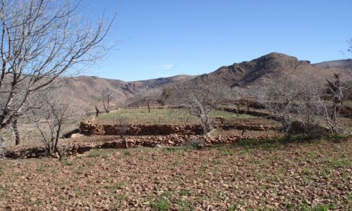 Zdjęcie MAROKO / Warzazate / na trasie Agadir-Warzazate / Marokański krajobraz