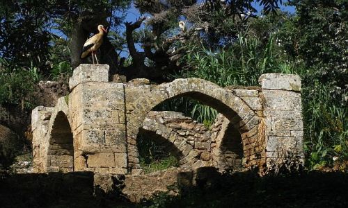 Zdjecie MAROKO / . / Rabat / Nekropolia Merynidw - Szella