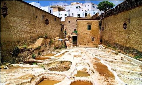 Zdjęcie MAROKO / Tetouan / Tetouan / W farbiarni skór