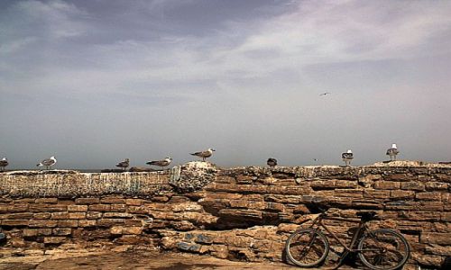 Zdjecie MAROKO / - / Essaouira / Essaouira2