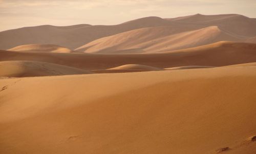 Zdjecie MAROKO / brak / Merzouga / Sahara
