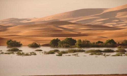 Zdjecie MAROKO / brak / Merzouga / Sahara 