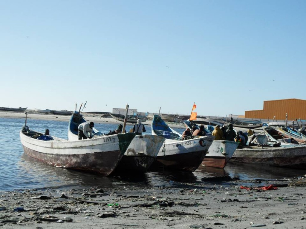 Zdjęcia: nouadhibou, Nouadhibou, portowo, MAURETANIA Zdjęcia: nouadhibou, Nouadhibou, portowo, MAURETANIA