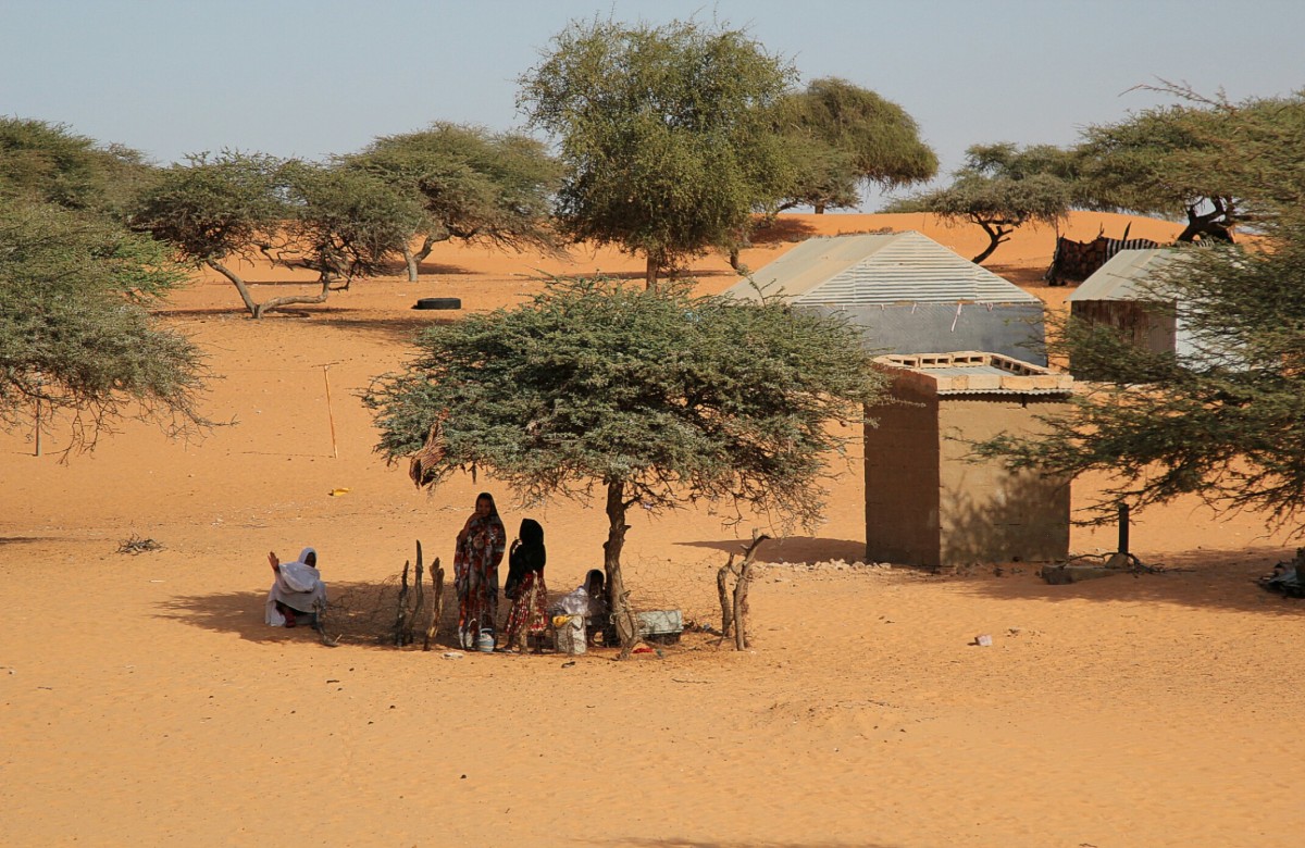 Zdjęcia: Sahel, Sahel, W cieniu drzewa, MAURETANIA Zdjęcia: Sahel, Sahel, W cieniu drzewa, MAURETANIA