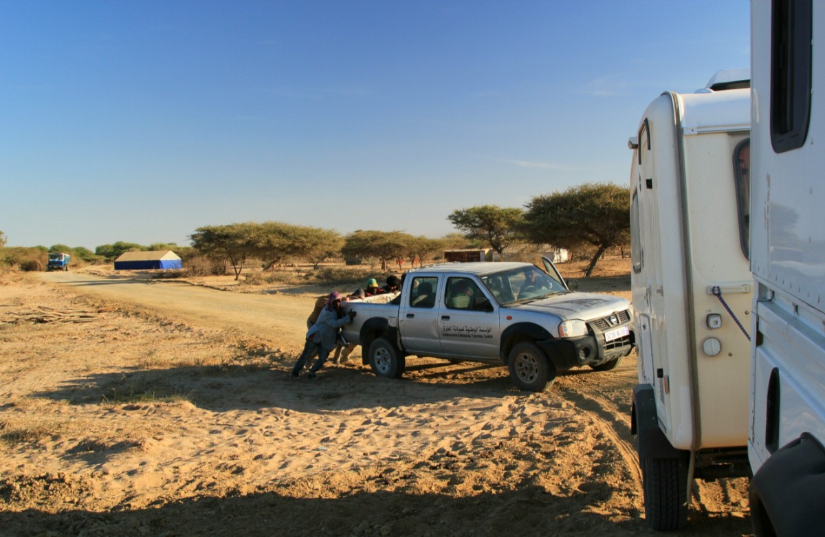 Zdjęcia: uczęszczana trasa, Sahel, Tam,gdzie kończy się Mauretania,a zaczyna Senegal, MAURETANIA Zdjęcia: uczęszczana trasa, Sahel, Tam,gdzie kończy się Mauretania,a zaczyna Senegal, MAURETANIA