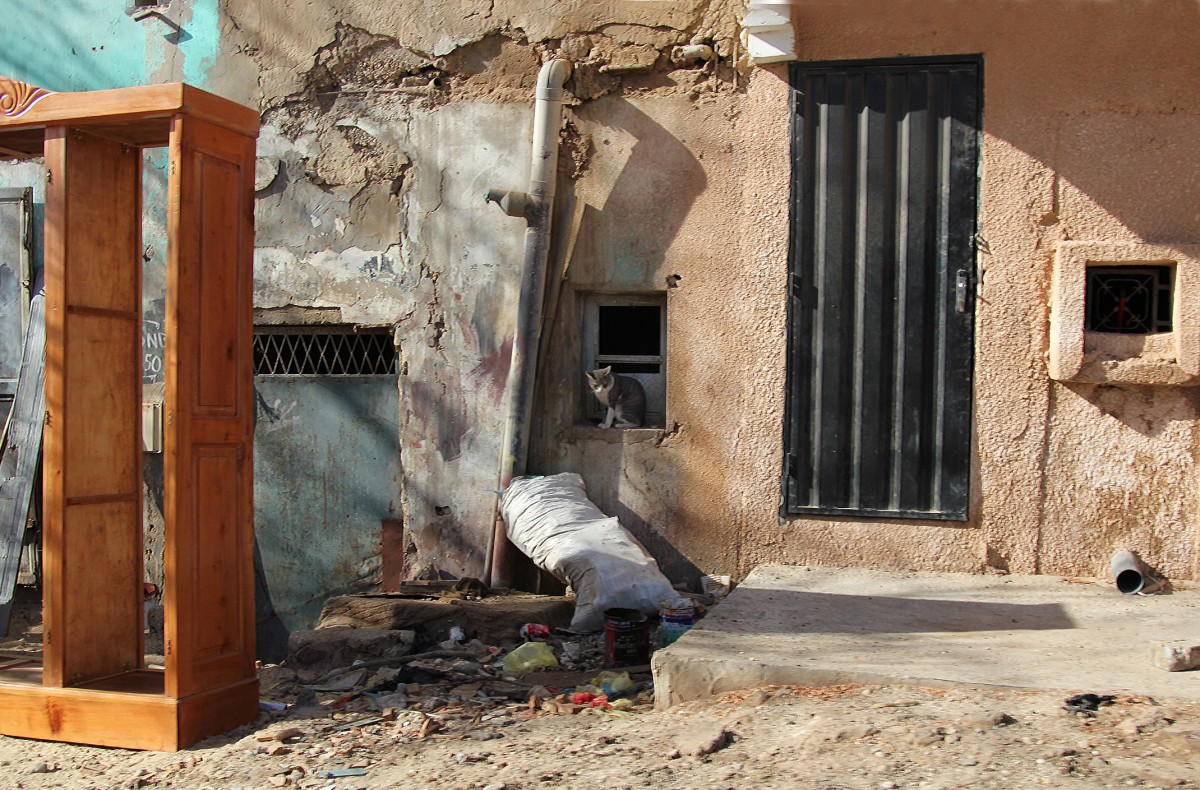 Zdjęcia: gdzieś po drodze, Nawakszut, Kotek, MAURETANIA Zdjęcia: gdzieś po drodze, Nawakszut, Kotek, MAURETANIA