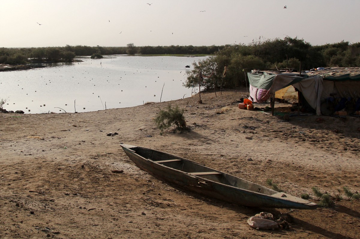 Zdjęcia: Park Narodowy Diawling., Delta rzeki Senegal, Spokojny wieczór, MAURETANIA Zdjęcia: Park Narodowy Diawling., Delta rzeki Senegal, Spokojny wieczór, MAURETANIA