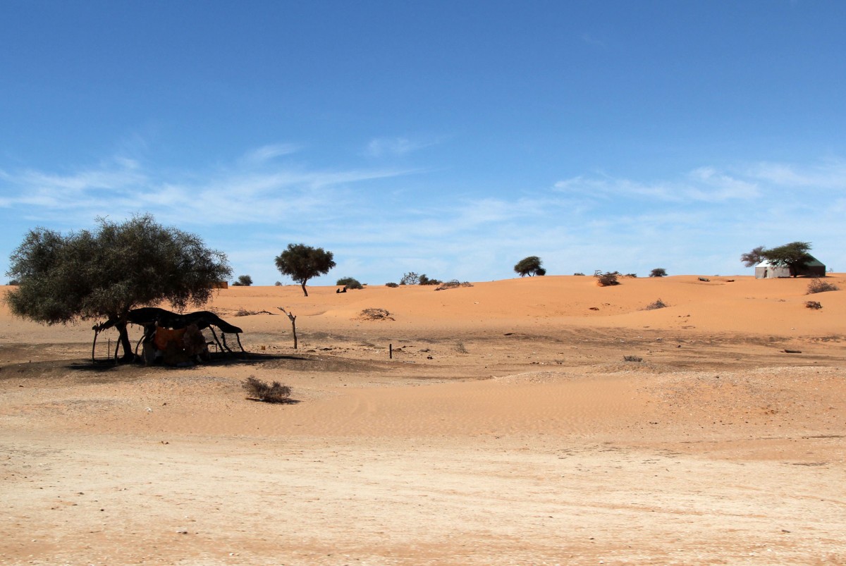 Zdjęcia: gdzieś po drodze, Mauretania,  Po sąsiedzku, MAURETANIA Zdjęcia: gdzieś po drodze, Mauretania,  Po sąsiedzku, MAURETANIA