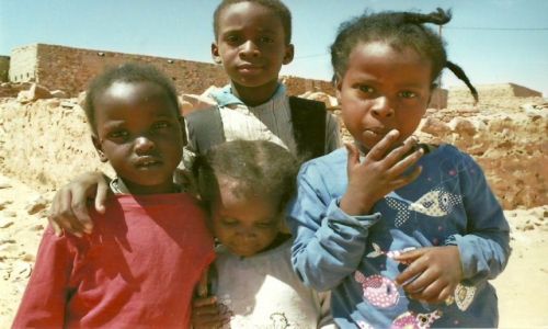 Zdjęcie MAURETANIA / Sahara / Chinguetti / Duma i nieśmiałość