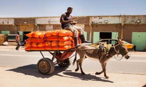 Zdj�cie MAURETANIA / - / Mauretania  / African Road Trip - transport w Mauretanii 