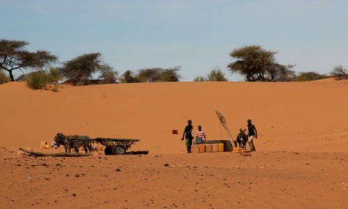 Zdjęcie MAURETANIA / Sahel / Sahel / Przy studni