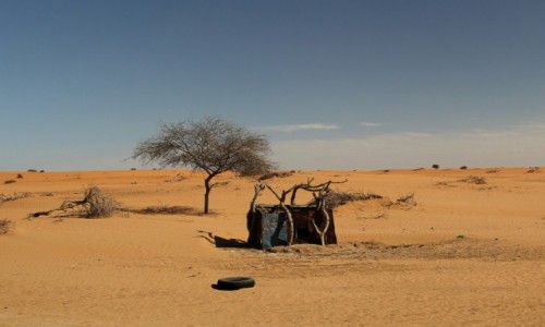 Zdjecie MAURETANIA / Sahel / Sahel / May domek