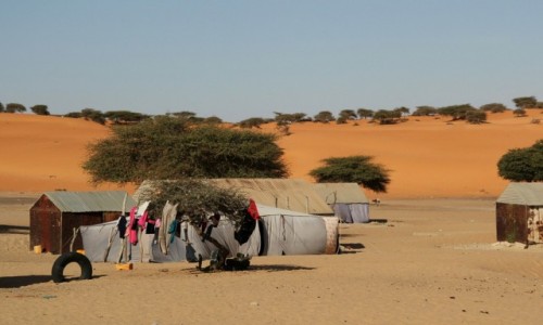 Zdjęcie MAURETANIA / Sahel / Sahel / Bezchmurne niebo,można suszyć pranie
