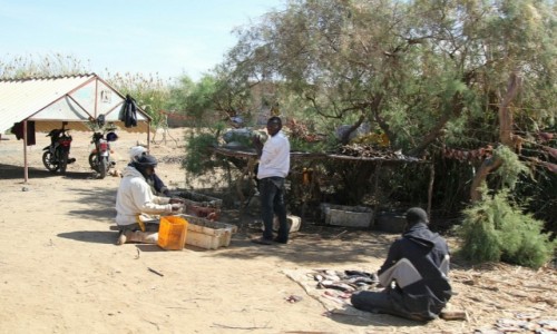 Zdjęcie MAURETANIA / Mauretania,Parc du Diawling / Mauretania,Parc du Diawling / Po bezdrożach Mauretanii
