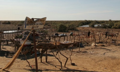 Zdjęcie MAURETANIA / Parc du Diawling / Parc du Diawling / Po bezdrożach Mauretanii