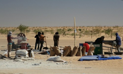 Zdjecie MAURETANIA / Sahel / Sahel / Producent wapna