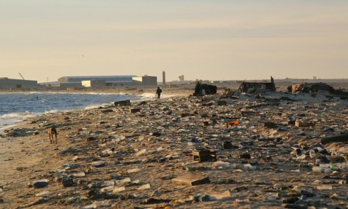 Zdjcie MAURETANIA / Nouadhibou / Cmentarzysko statkw / mieciowisko przy wrakowisku