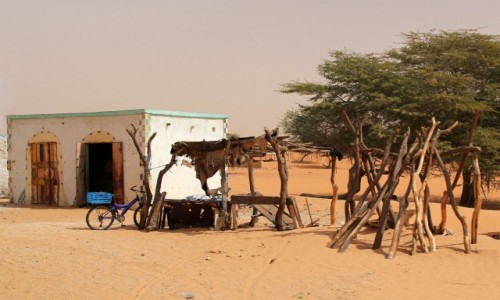 Zdjecie MAURETANIA / Sahel / gdzie po drodze / Sklepik