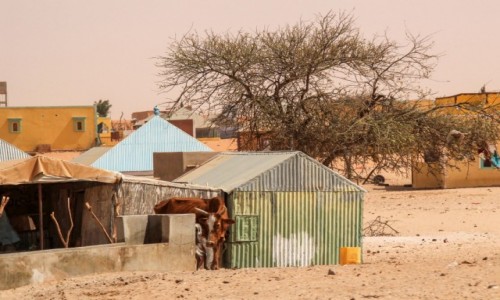 Zdjecie MAURETANIA /  delta rzeki Senegal  / wioska / Podgldajc ycie w wiosce