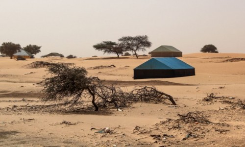 Zdjęcie MAURETANIA / Nouakchott / gdzieś po drodze / Chałupy