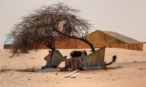 Zdjcie MAURETANIA / Nouakchott / gdzie po drodze / Zagrdka dla zebu