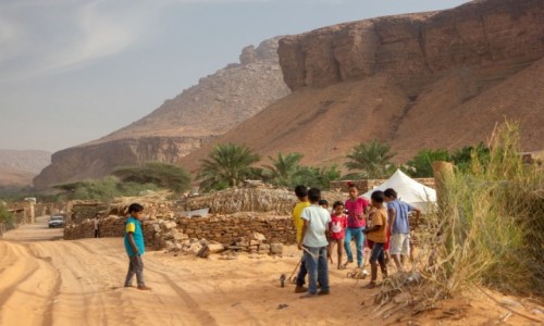 Zdjcie MAURETANIA / Adrar / Terjit / Oaza