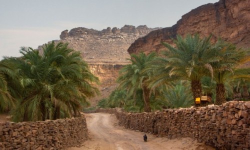 Zdjcie MAURETANIA / Adrar / Terjit / Oaza