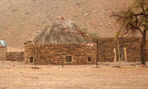 Zdjcie MAURETANIA / Adrar / Terjit / Oaza