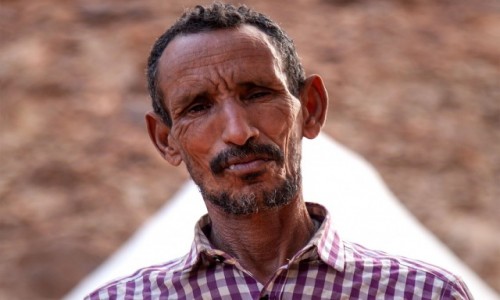 Zdjcie MAURETANIA / Adrar / Terjit / Oaza Terjit